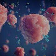 Next Generation CHO Transient Expression