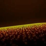 Adobe After Effects Trapcode Form Second Test