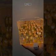 Trending Diy Unboxing Tulip Lamp DIY I Purchased This Tulip Lamp From Meesho Asmrsounds Yt