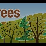 How To Use GLOBE Observer Trees