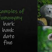 LEXICAL SEMANTICS II Basic Semantic Relationships