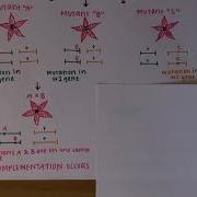 Complementation Test