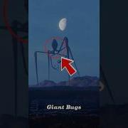 5 GIANT BUGS YOU LL WISH YOU NEVER SAW IN REAL LIFE Giantbugs Scarybugs Insects Shorts