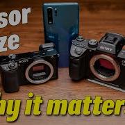 WHY SENSOR SIZE MATTERS Do You Really Need A Full Frame Camera In 2021