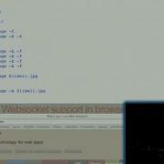 Tornado Web Framework For Multiplexed Remote Access