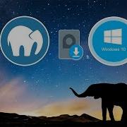 PHP MySQL Installing PHP And MySQL To Localhost Apache Server For Local Host MAMP For Win 10