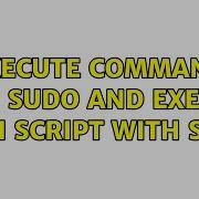 Execute Command With Sudo And Execute Bash Script With Sudo