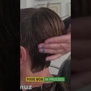 PIXIE BOB CUT IN PROCESS Complete Tutorial Linked Below