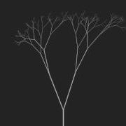 Fractal Branching Using Processing