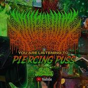 NHLFAN90 PIERCING PUSS FT JOHNNY CIARDULLO OFFICIAL LYRIC VIDEO 2026 SW EXCLUSIVE