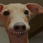 TRY NOT TO LAUGH CHALLENGE Part 3