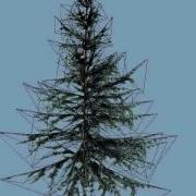 15 Pine Tree Models For Games 3D Model From CGTrader Com