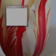 Form Resize In NET