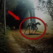 20 Creepy Cryptid Sightings Caught On Film
