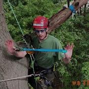 Speedlines Explained TreeStuff Product Demonstration