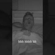 Night Terror