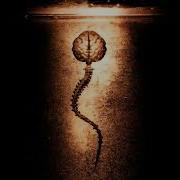 Fear Factory Soulwound Bonus Track