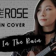 She S In The Rain The Rose 더 로즈 Violin Cover W Sheet Music