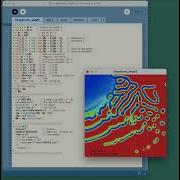 For Programming Education A Reaction Diffusion System The Gray Scott Model