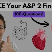 MASSIVE A P 2 Final Exam Review ACE Your Test