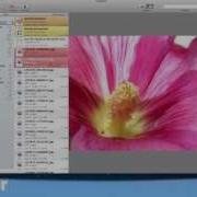Together Screencast MacUpdate Promo