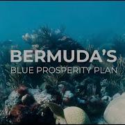Bermuda S Blue Prosperity Plan