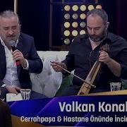 Volkan Konak CERRAHPAŞA HASTANE ÖNÜNDE İNCİR AĞACI EFEM