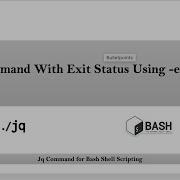 Jq Command With Exit Status Zero Or Non Zero Bash Shell Scripting By NarendraP