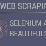 Python Scrape Dynamic Website With Selenium And BeautifulSoup