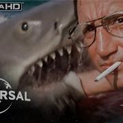 Jaws You Re Going To Need A Bigger Boat Shark Attacks Chief Brody In 4K HDR