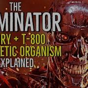 THE TERMINATOR Story T 800 Terminator Cybernetic Organism Explained
