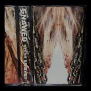 Gnawed Flesh Renewed Full Album