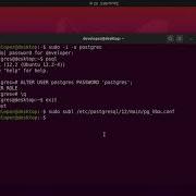 How To Fix Could Not Connect To Server FATAL Password Authentication Failed Postgres On Ubuntu