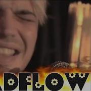 Badflower ANIMAL And GHOST Clean Acoustic