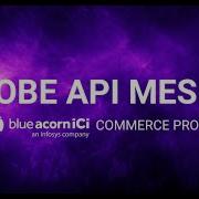Untangling Adobe S API Mesh