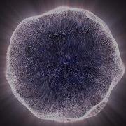Audio Reactive Visual Sphere