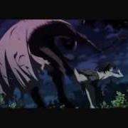 AMV The Secret Life