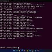 WSL2 Install Microstack OpenStack