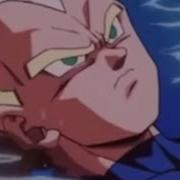 Tfs Vegeta S Unyielding Rage