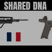 The FAMAS Mechanism In A Modern Pistol Why Use Lever Delayed Blowback