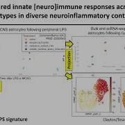 Harnessing Public Multi Omics Data To Discover Shared Mechanisms In Neuroinflammation