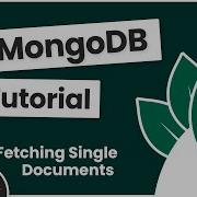Полное руководство MongoDB 18 Поиск отдельных документов