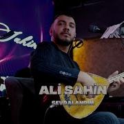 Ali Şahin Sevdalandım