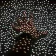 DSI Multitouch And Boids With Processing
