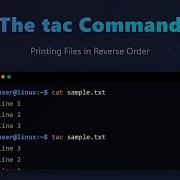 Tac Command In Linux Reverse File Printing For Beginners