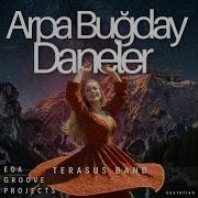 Arpa Buğday Daneler Anatolian Psychedelic Rock