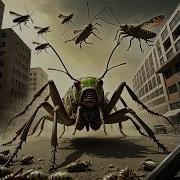 Top 5 Insect Swarms Locus Devastation Insects Locustswarm Swarm Shorts