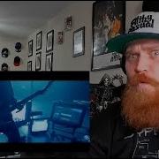 Bleed From Within Alive Reaction Review