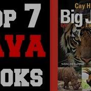 Top 7 Best Java Programming Books 4K