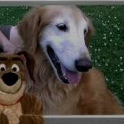 Dog Bite Prevention In Children Part 2